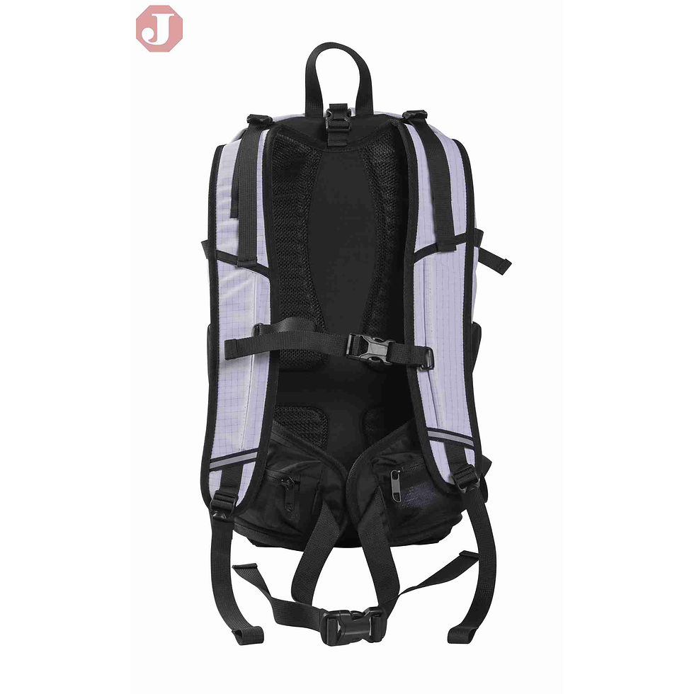 Miniature : Chrome Backpack