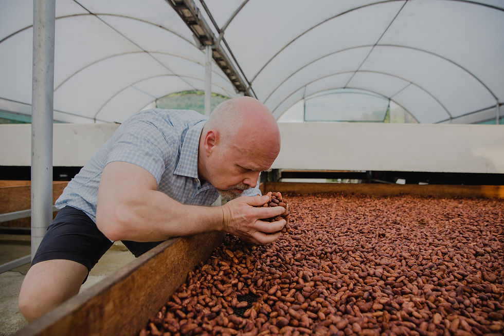Tuta_Smelling_Drying_Cacao1