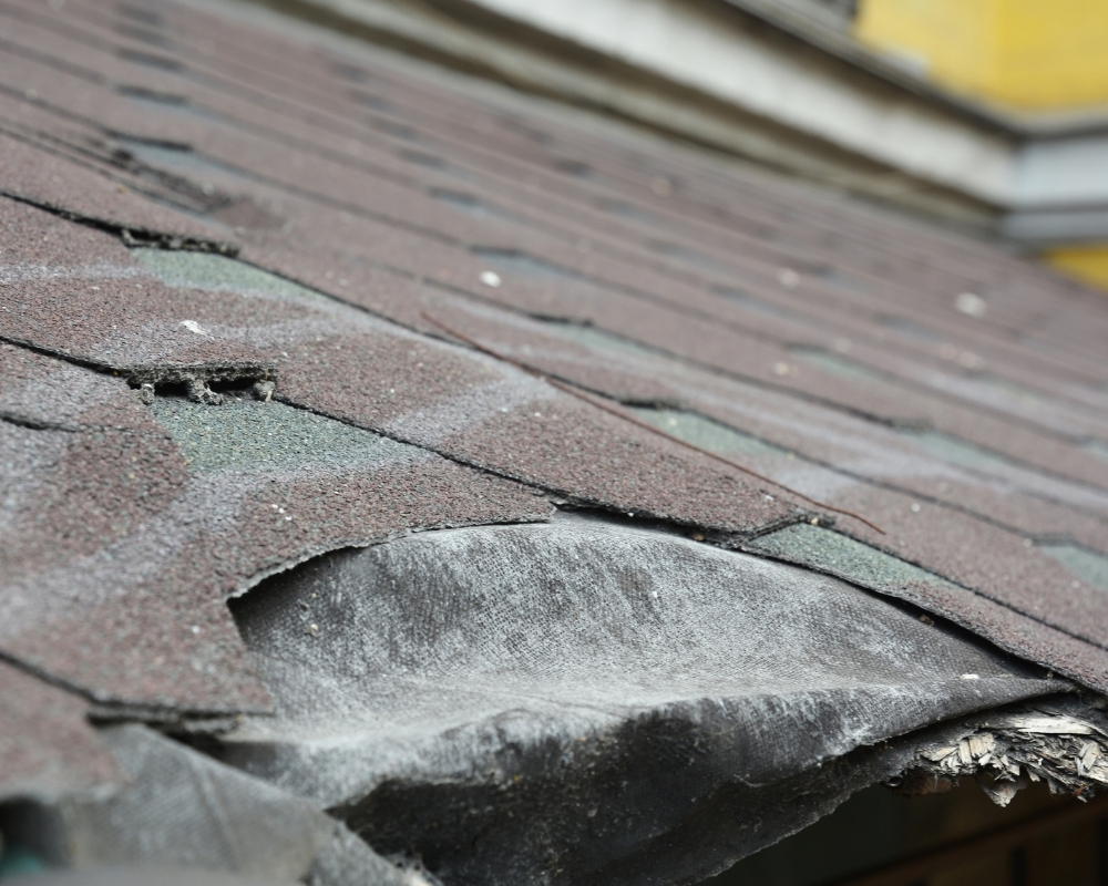 Damaged Shingles - MM Dynamic