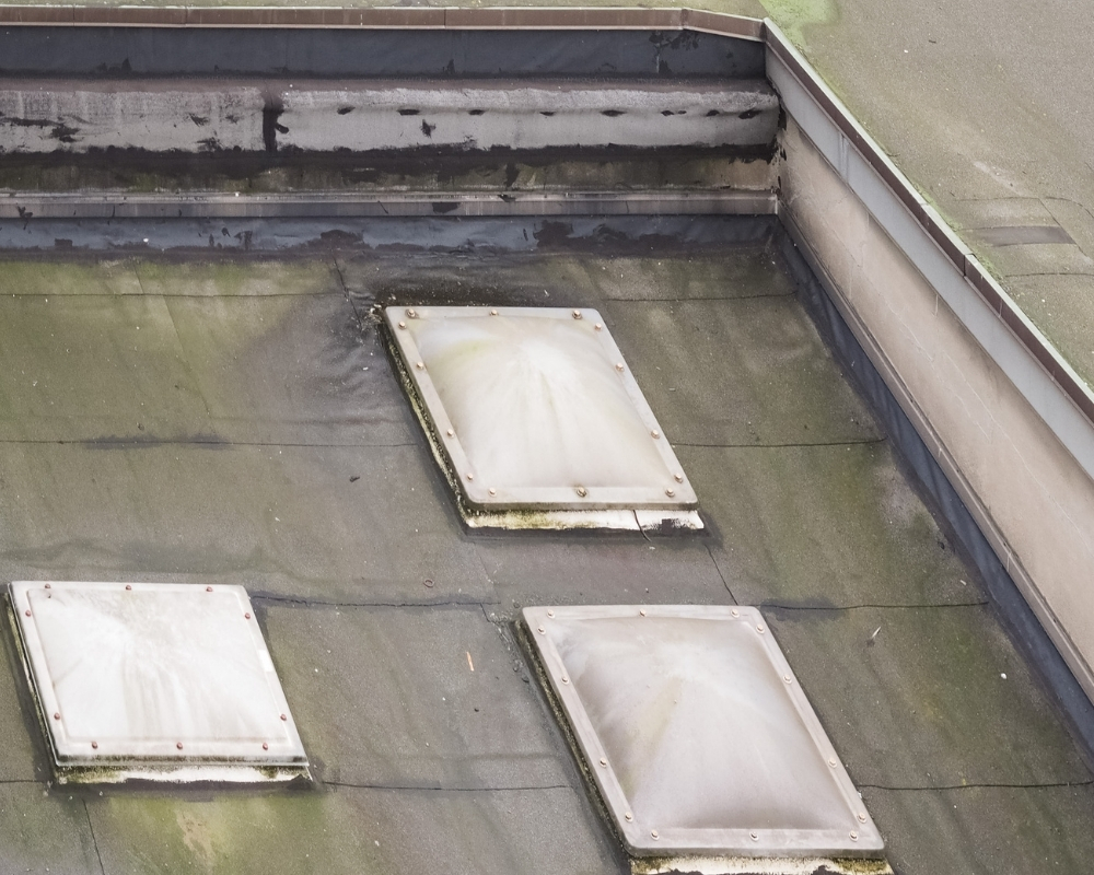 Molded Roof - MM Dynamic