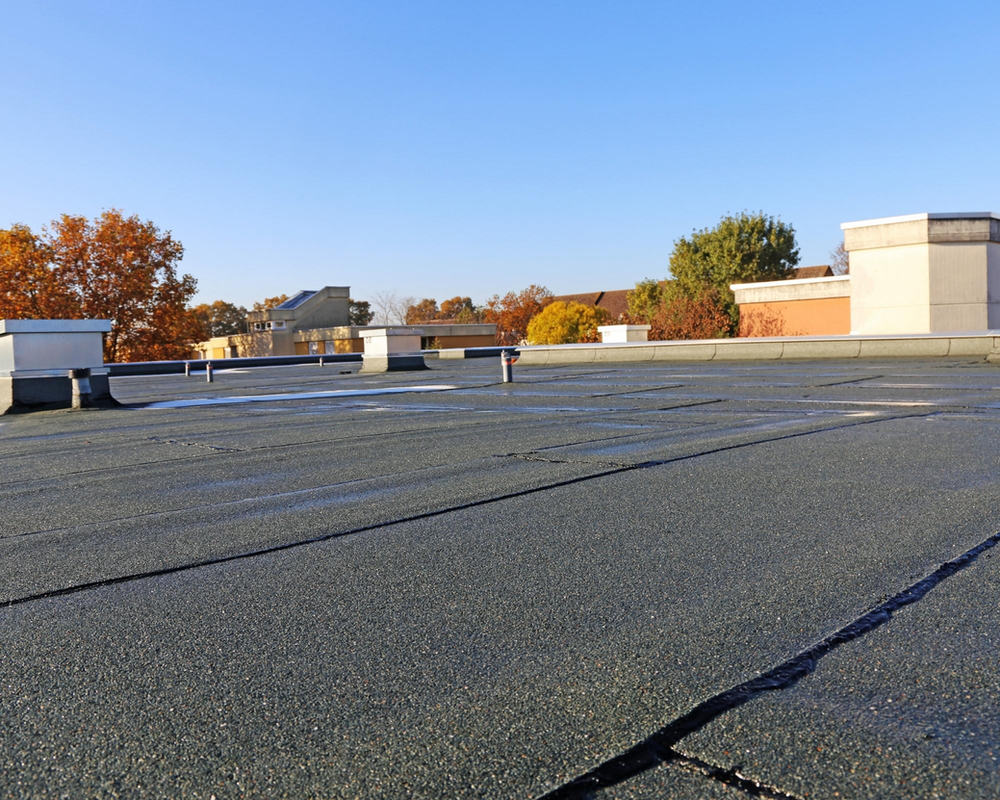 Flat Roof Building - MM Dynamic