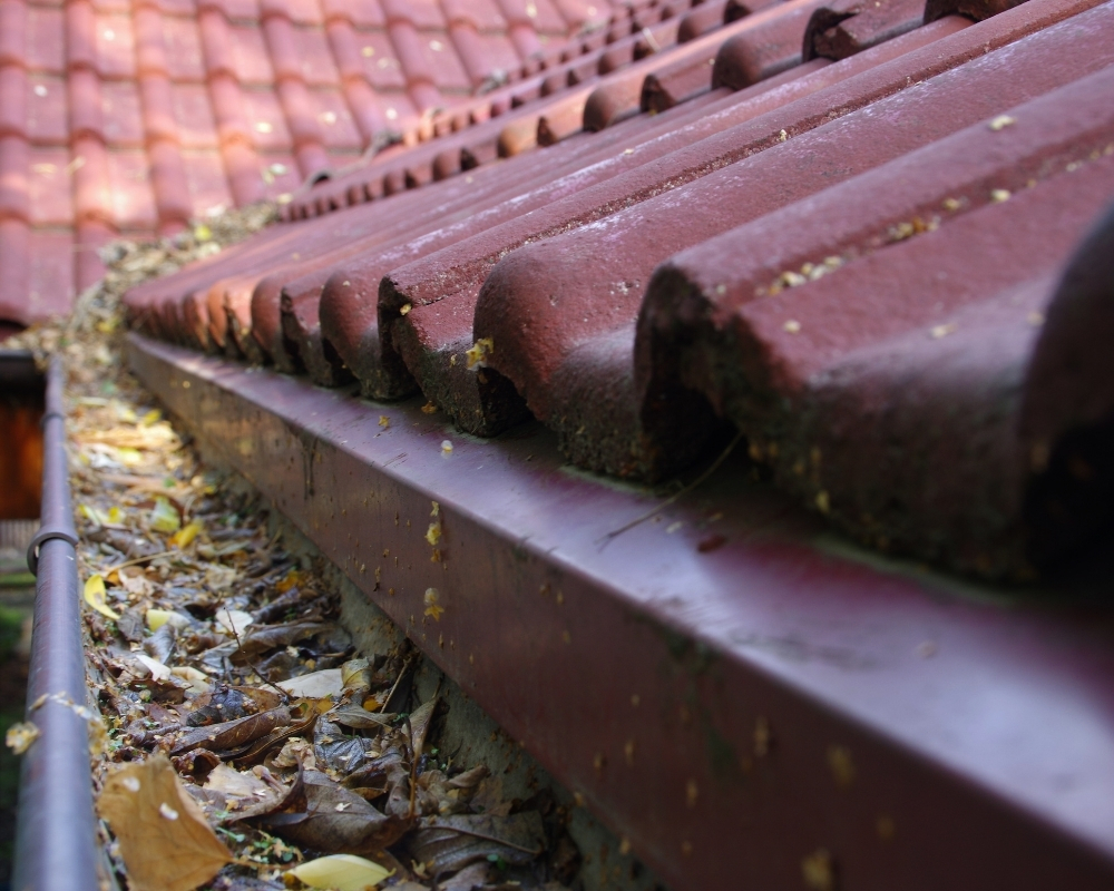 clogged gutters - MM Dynamic