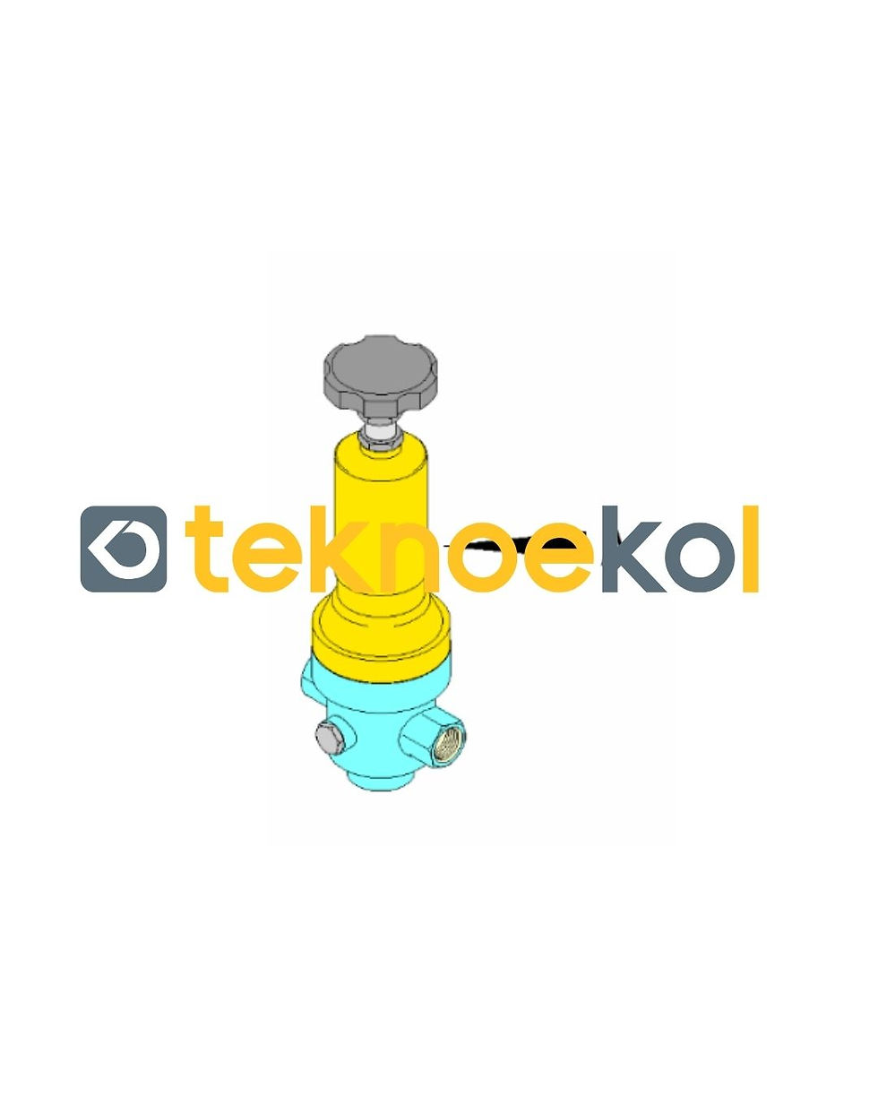 Basınç Regülatörü