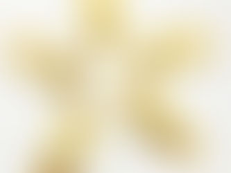 The Complete Guide to Gold Chain Clasps and Jewelry Clasps