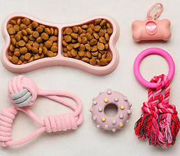 Animais e Pet Services.png