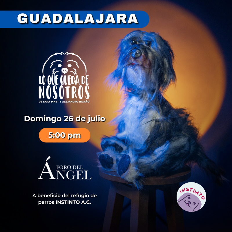 GUADALAJARA lo que queda de nosotros - Foro del ángel 26 de Julio