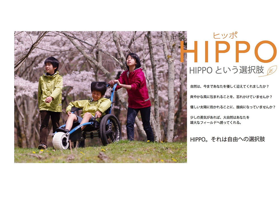 HIPPOカタログ.pdf