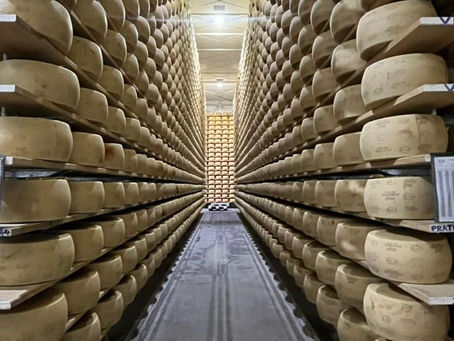 queijo parmesao maturando