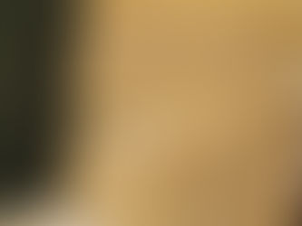 queijo parmesao laticinio andrelandia