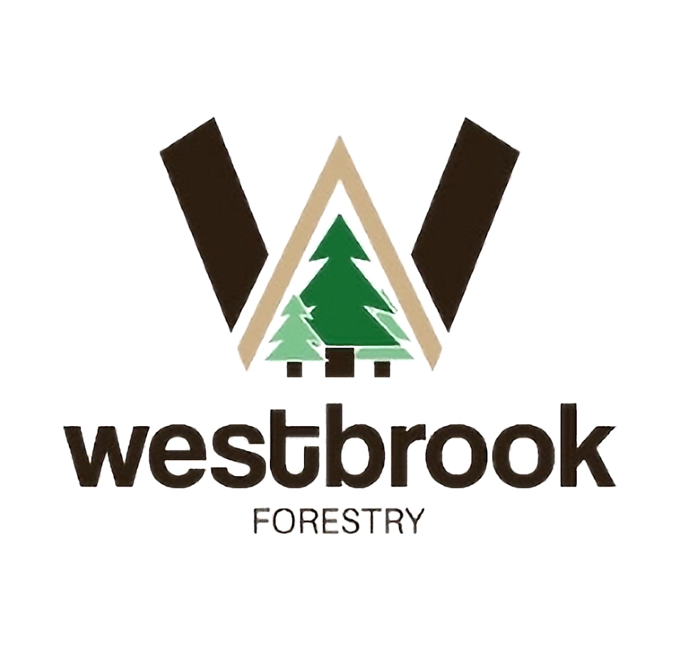 Untitled design (4)_edited_edited.jpg