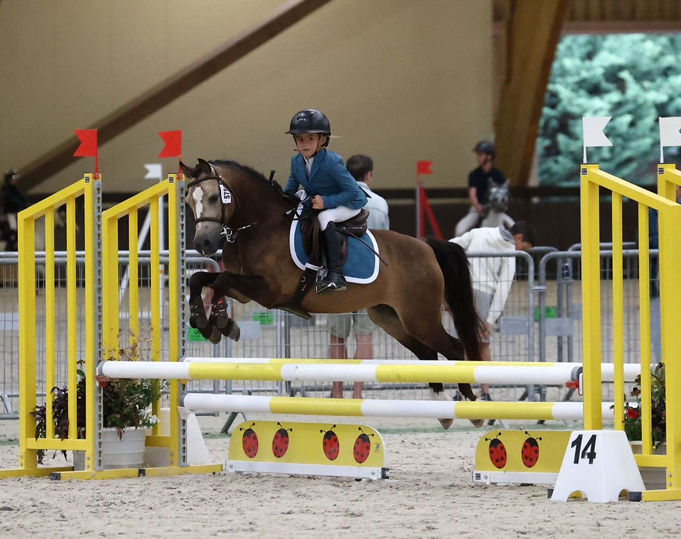 Tenue Equitry Emeraude