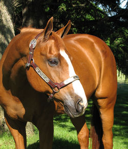 Jazz ~ June 2011 ~ Age 19