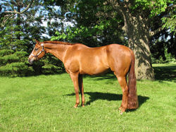 Jazz ~ June 2011 ~ Age 19