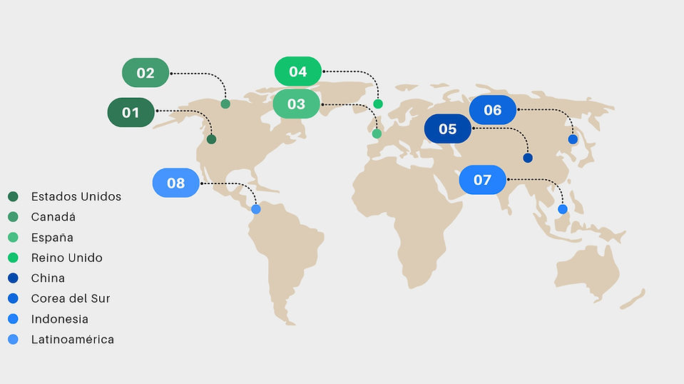 Azul y Gris Diagrama del Mapa del Mundo Presentación_20251023_153248_0000.jpg