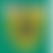 DACORUM BOROUGH COUNCIL