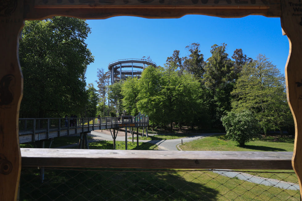 IRE_Herr_20250517 (188)-LR