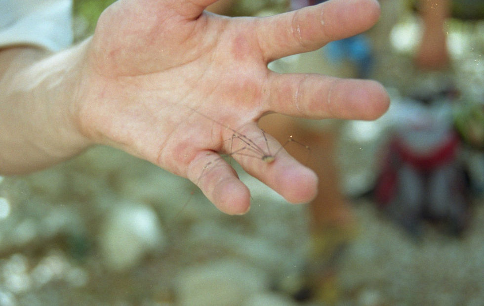 img20241018_01085474