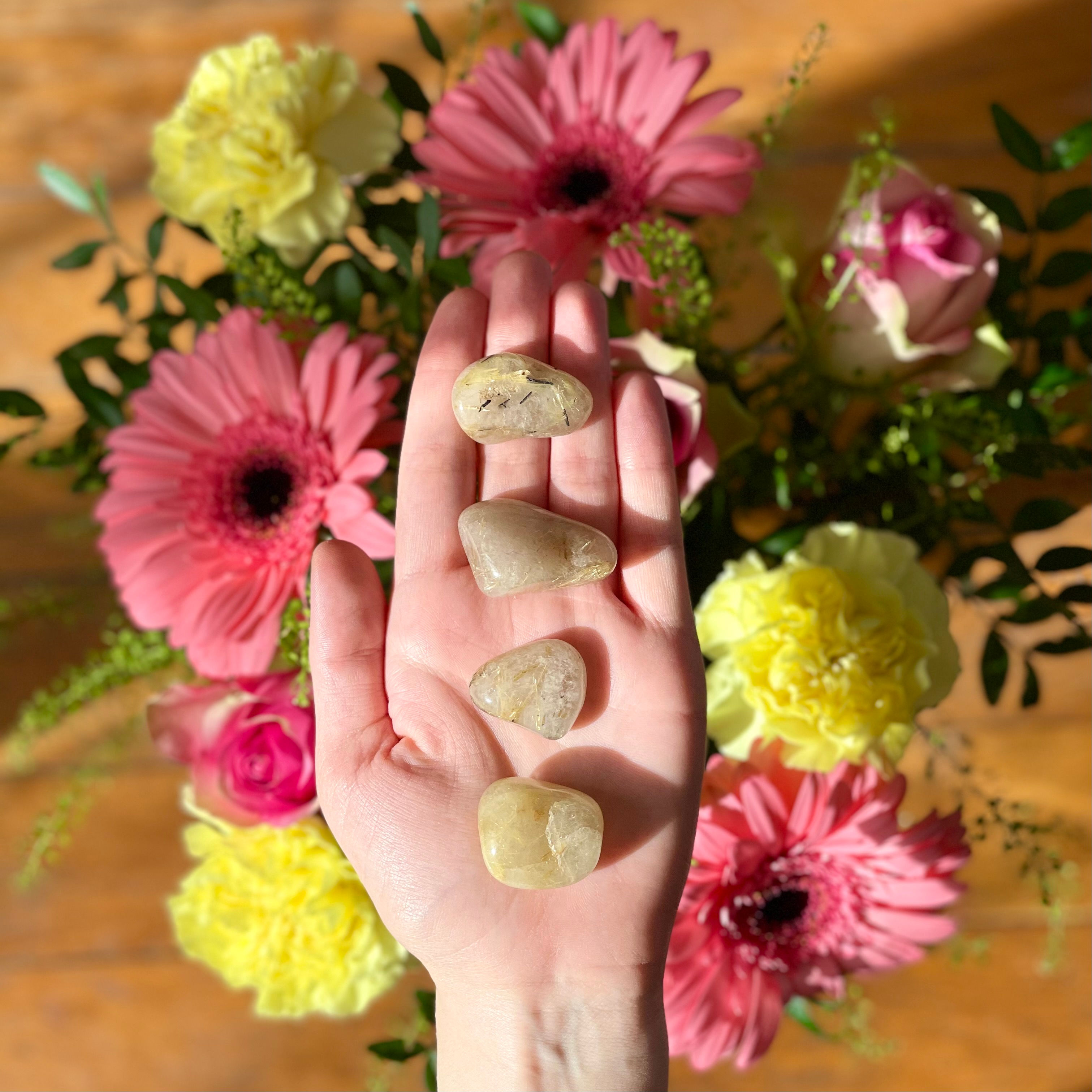 Quartz rutile ✧ Lumière & Purification