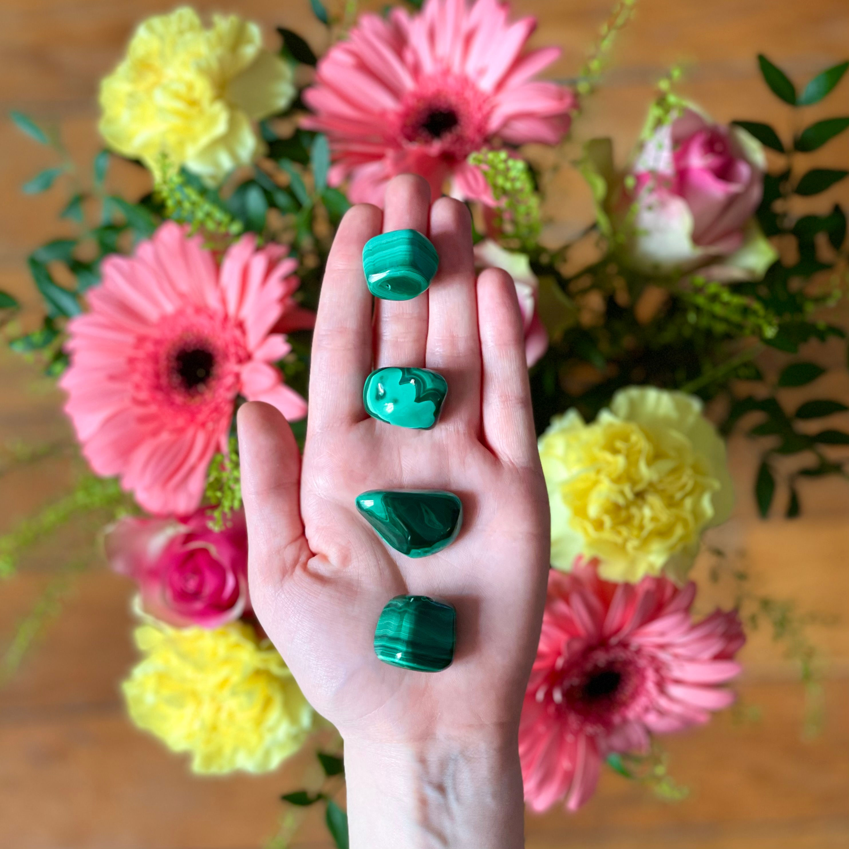 Malachite ✧ Guérison & Féminité