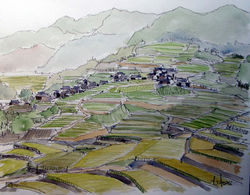 247波佐見町鬼木棚田　〔ｻｲｽﾞF６　（４０．７×３１．７cm) 〕