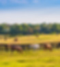 AdobeStock_132075301.jpeg