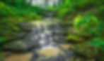 Creek in Kentucky 