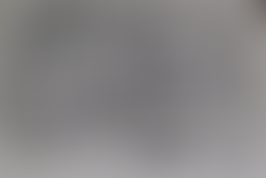 本日の釜石魚市場の水揚げ情報更新!