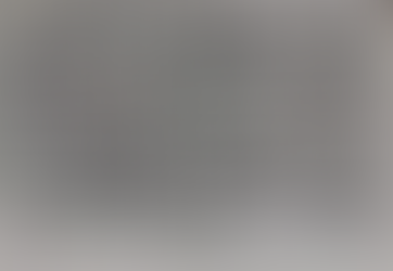 本日の釜石魚市場の水揚げ情報更新!