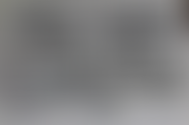 本日の釜石魚市場の水揚げ情報更新!