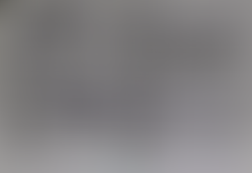 本日の釜石魚市場の水揚げ情報更新!