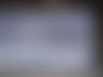 本日の釜石魚市場の水揚げ情報更新!