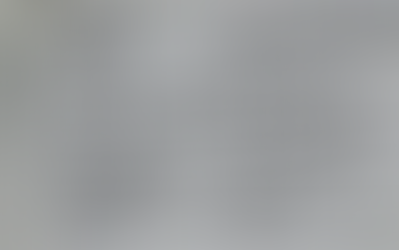 本日の釜石魚市場の水揚げ情報更新!