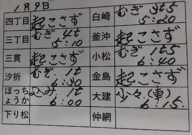 本日の釜石魚市場の水揚げ情報更新!