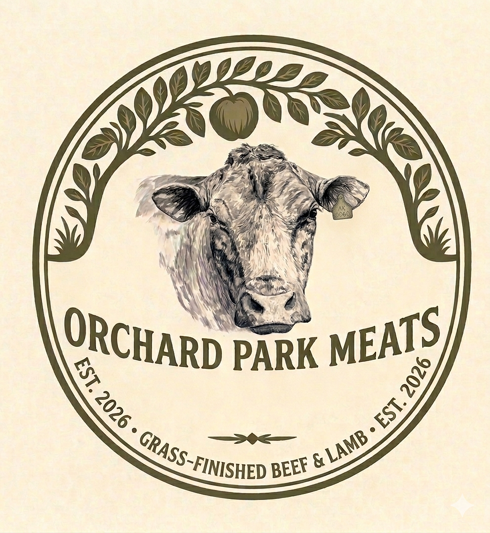 The Meat-up Launch Event