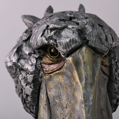 Shoebill - Norton