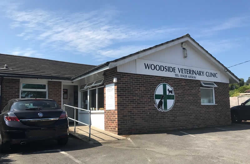 Woodside Vet Chiddingfold Surrey