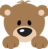 bear-clipart-baby-bear-17.png