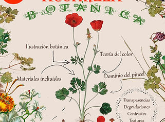 Cartel botánica flor en medio presencial.jpg