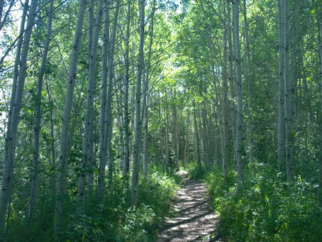 The Threads That Hold Us