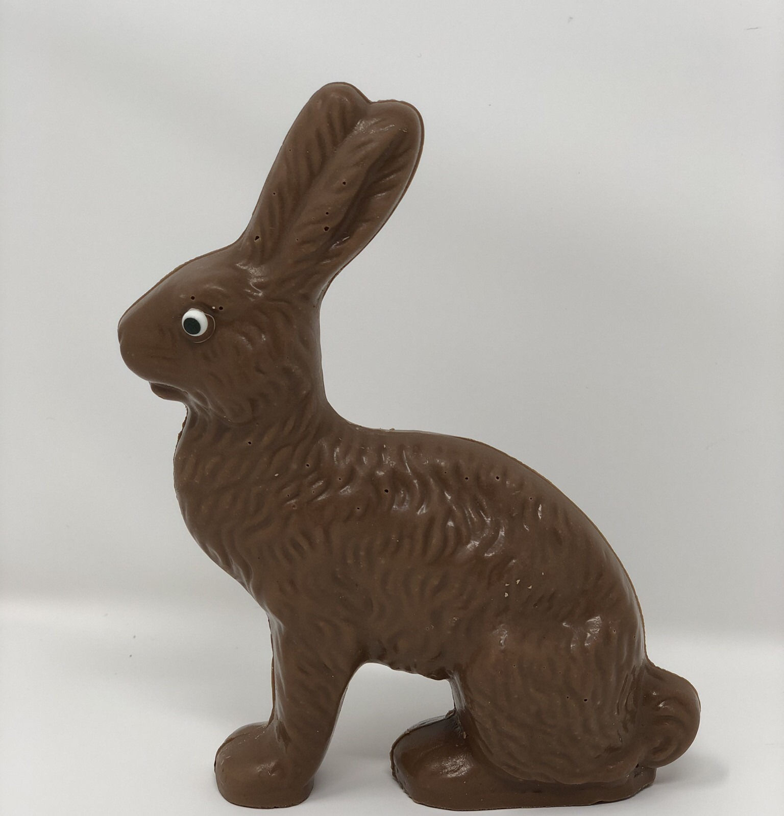 3D Solid Bunny