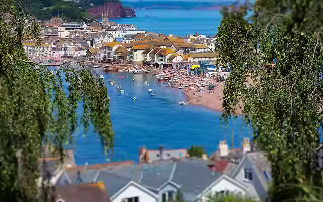 Shaldon-Through-Trees.avif