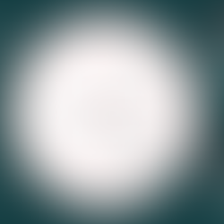 your perfect plate design.