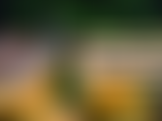 Image of a snail with text reading your website isn't slow, your images are