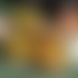 the science of habits