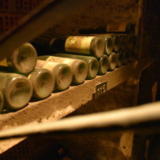 cantina Terlano - foto Pupitres.it