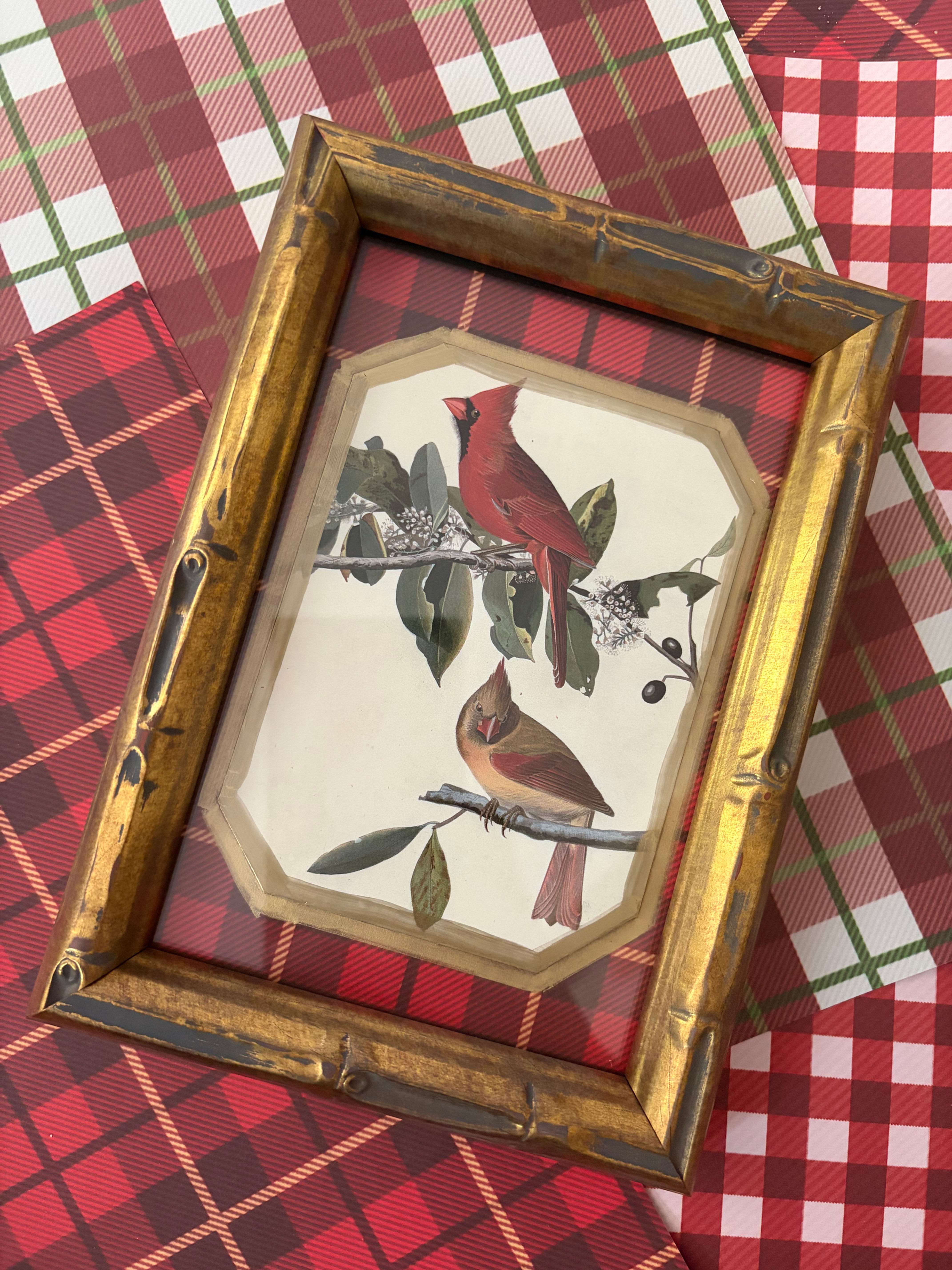 Cardinal Audobon in Plaid 