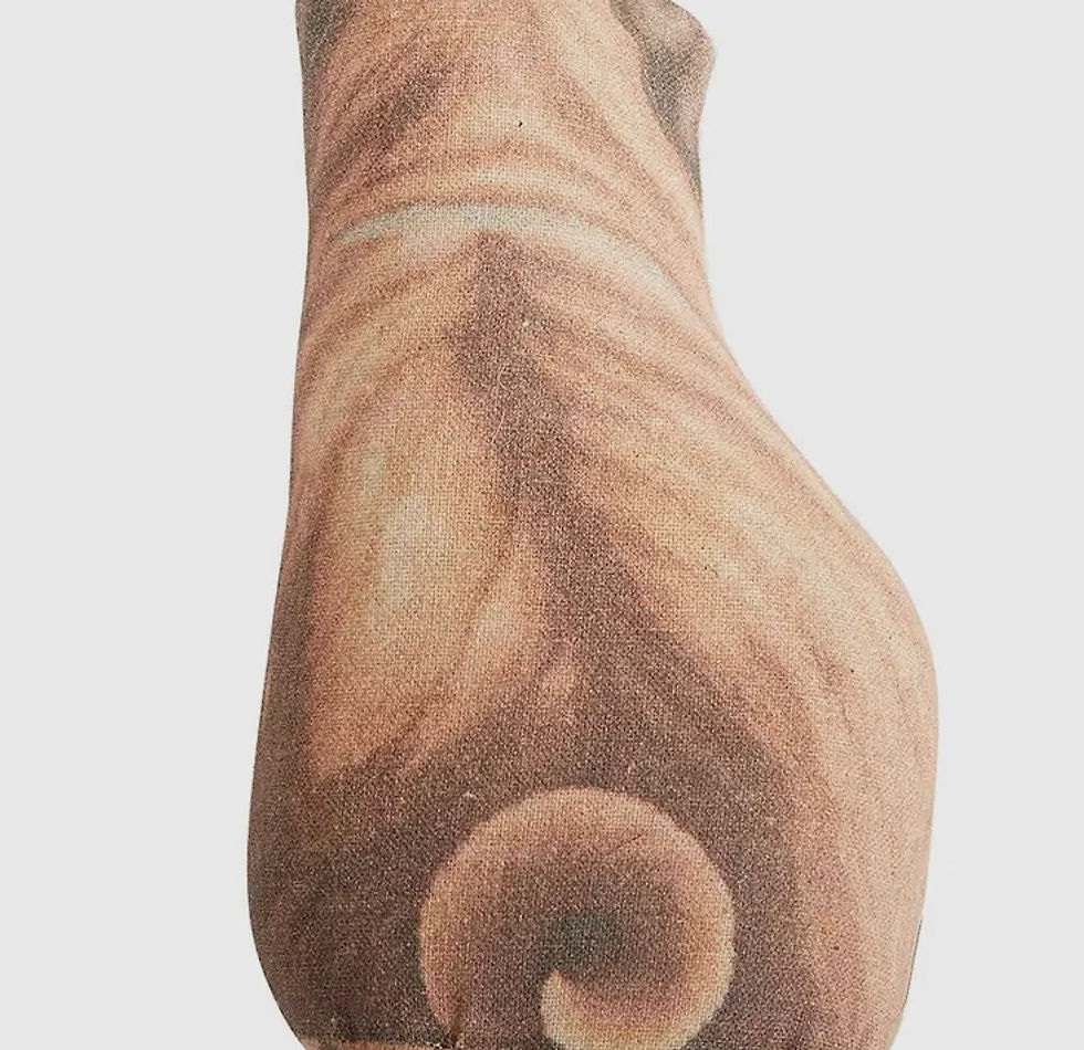 Thumbnail: Pug Pillow