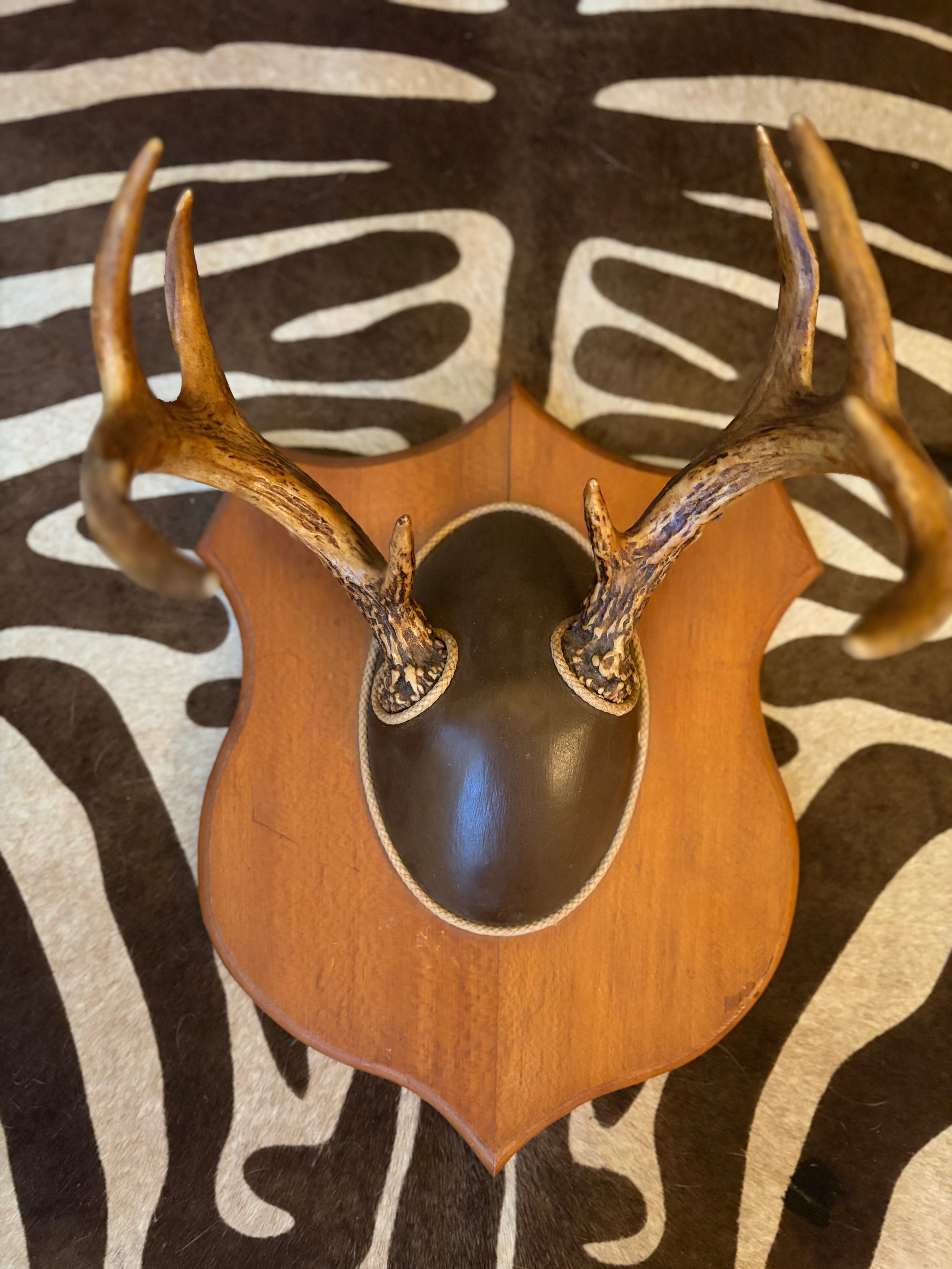 Vintage Antler Wall Hanging 