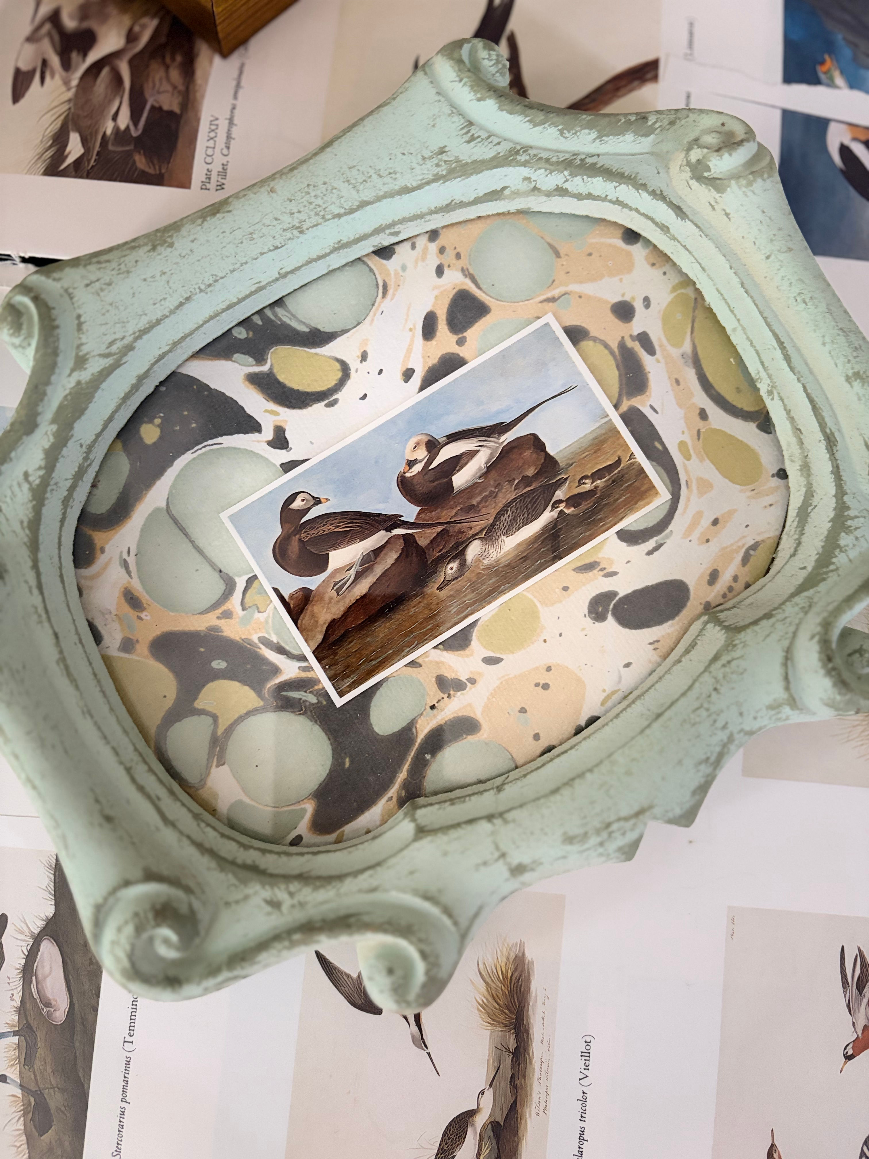 Audobon in Aqua Florentine Frame 