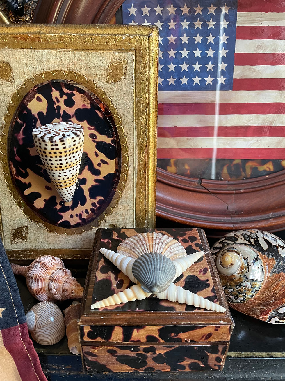 Thumbnail: Small Tortoise Box with Seashell Top 